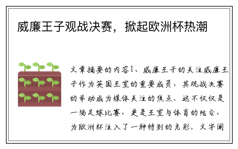 威廉王子观战决赛，掀起欧洲杯热潮
